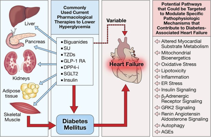 Diabetes cardiovascular risk complications vascular disease peripheral people