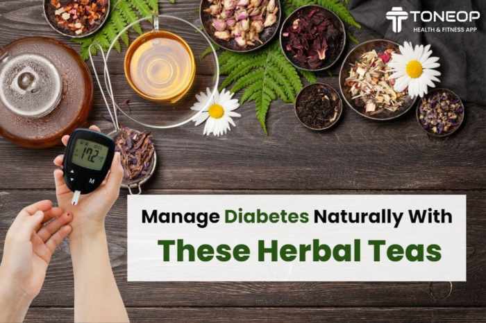 Resep minuman herbal untuk menyembuhkan diabetes sebelum tidur