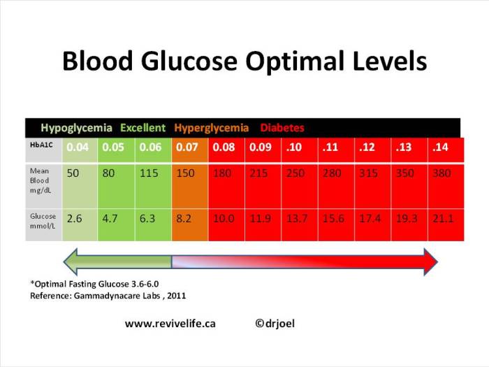 Glucose hyperglycemia hypoglycemia niveau vessels glucagon glycogen