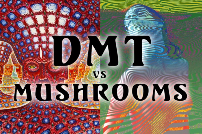 Perbandingan efek DMT2 dengan zat psikedelik lainnya seperti psilocybin