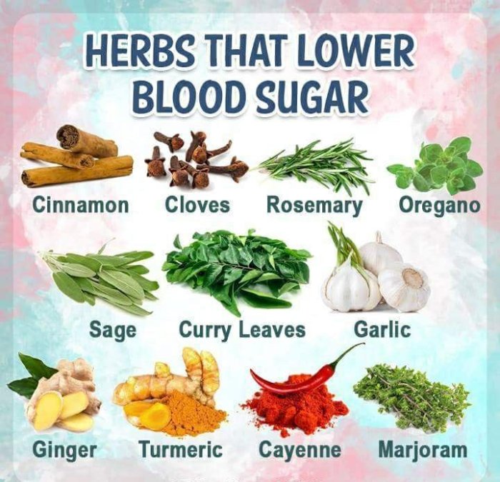 Fruits herbs diabetes