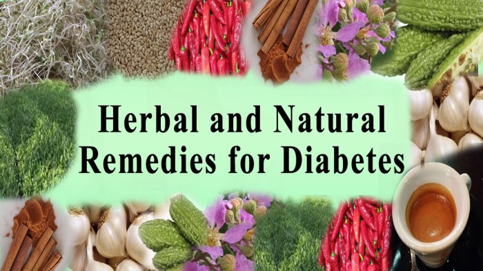 Pengobatan herbal diabetes tipe 1 yang aman dan terbukti efektif