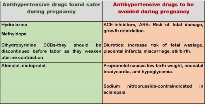 Pregnancy safe medications medication pregnant patients during solving instructions problem studylib