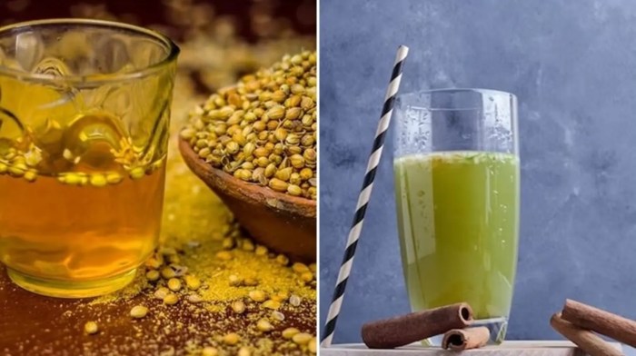 Resep minuman sehat penurun gula darah tinggi untuk diabetesi