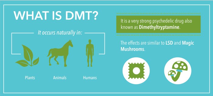 Teknik aman dan bertanggung jawab dalam penggunaan DMT2