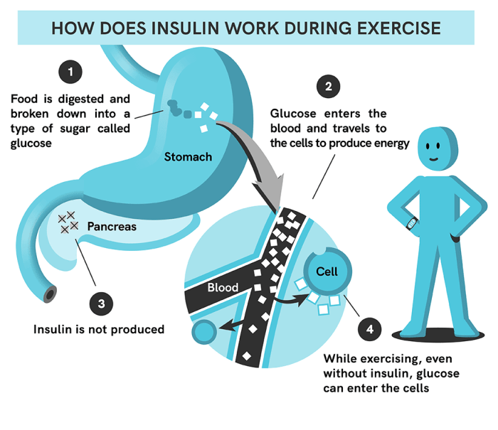 Pengaruh olahraga teratur terhadap kadar gula darah dan komplikasi diabetes melitus