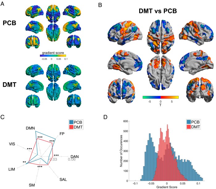 Studi ilmiah terbaru mengenai efek neurologis DMT2 pada otak manusia