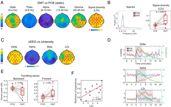 Studi ilmiah terbaru mengenai efek neurologis DMT2 pada otak manusia