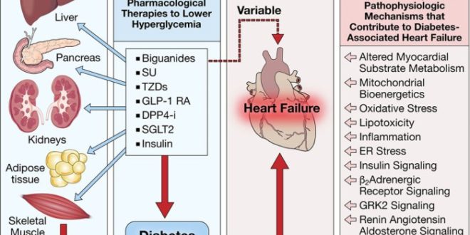 Diabetes cardiovascular risk complications vascular disease peripheral people