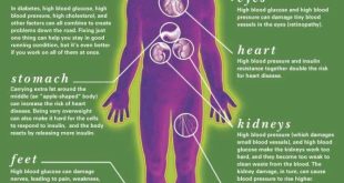 Efek DMT2 terhadap persepsi realitas dan kesadaran diri