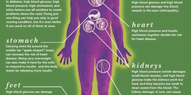 Efek DMT2 terhadap persepsi realitas dan kesadaran diri