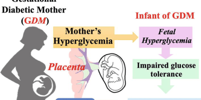 Gestational complications risks