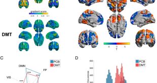 Penggunaan DMT2 dalam konteks pengobatan penyakit mental tertentu